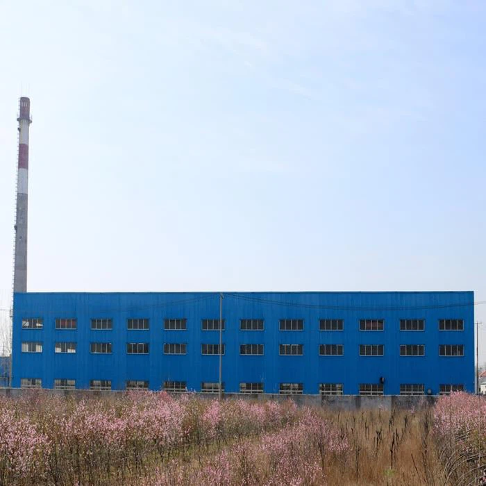 Edifício de fábrica de construção de aço